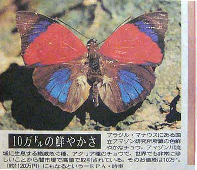 japanese newspaper