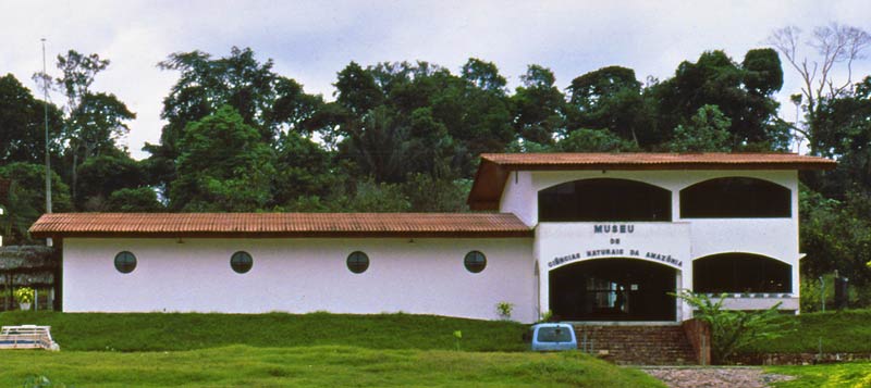 Museum building main part.