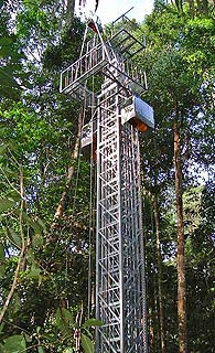 pic : a tower bulid in Jungle(1999)